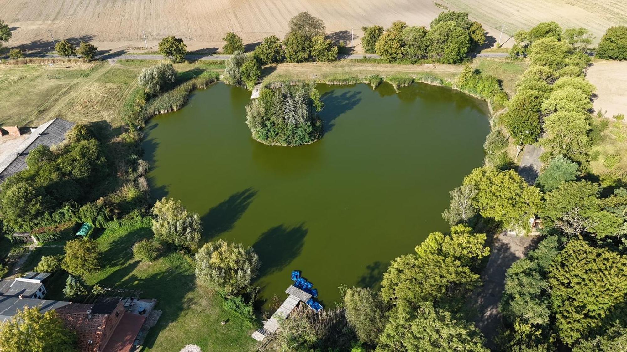 Krzeszkowice Palac W Debinie מראה חיצוני תמונה